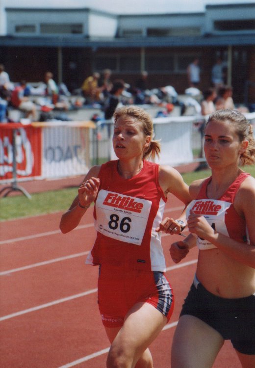 2006/1500/D33.jpg