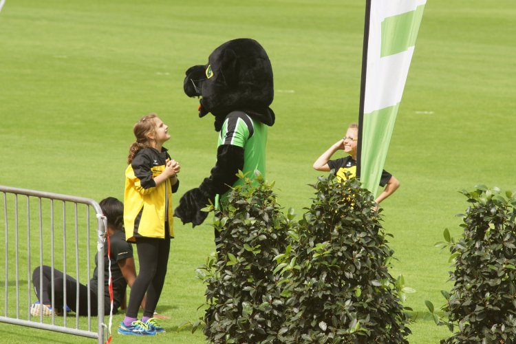 2014/1500/005_4805C.jpg